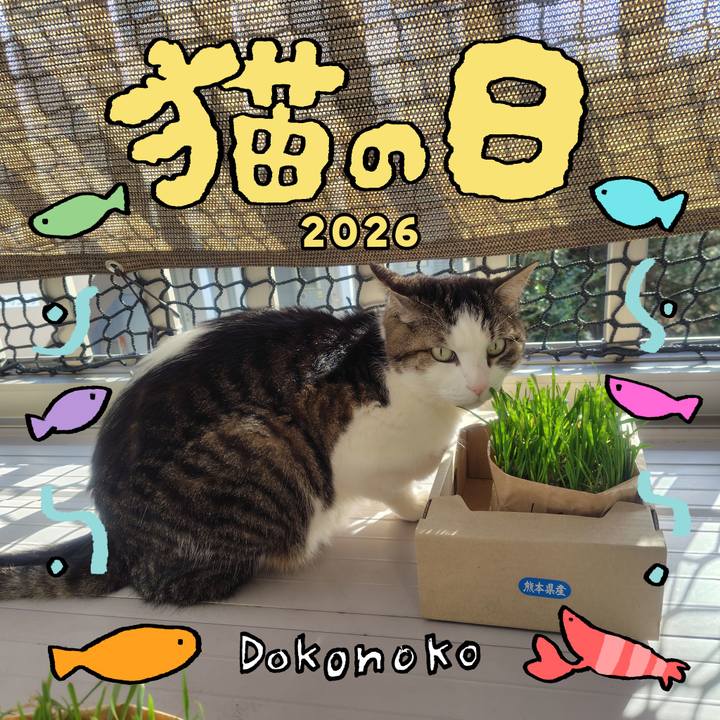 Dd71d0f3 994e 42df 890c 2b8ca41f209a 1771713937889