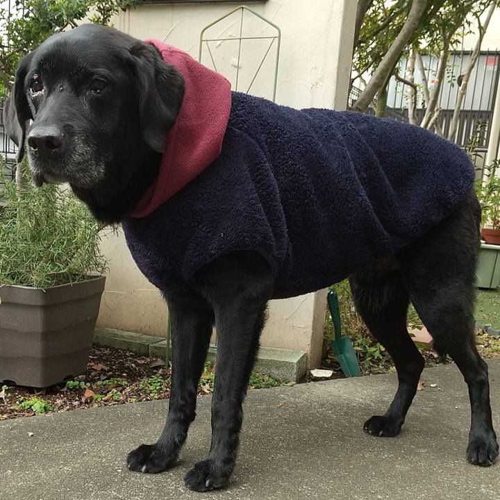 Dd71de3f f71c 4773 bb45 3576f9c38ef6 1700277854378