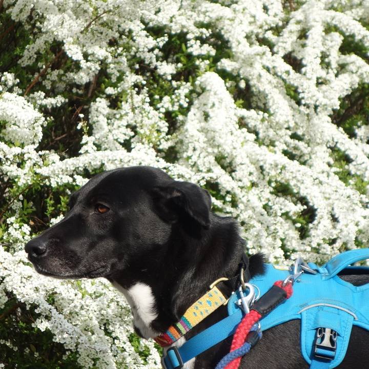 Dd71e315 0857 4f5c 9378 16e596e9f20f 1615854770200