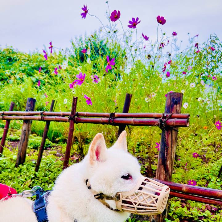 Dd727ded 6a59 4ebe b350 8ce27b346449 1724798301733