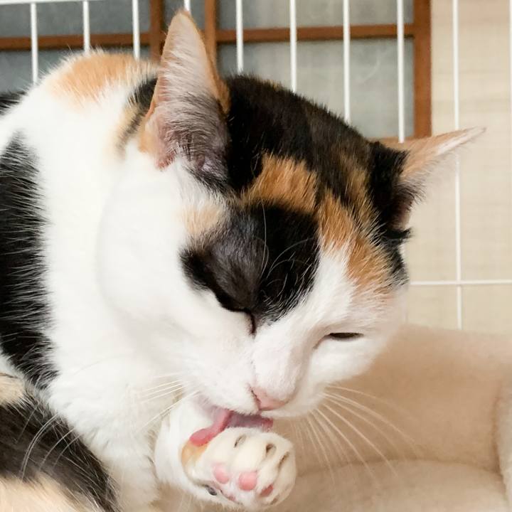 Dd72956e a188 4575 8f72 0c43ea61580b 1576720782899