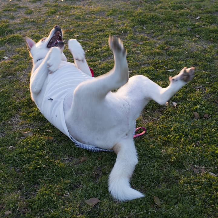 Dd72a6b2 6782 47dc 8d8c ba569d4c0a14 1553467530619