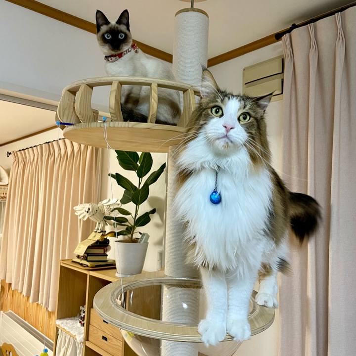 Dd72ac75 cf80 490b a1de d8f03ed0fe0b 1704828642637