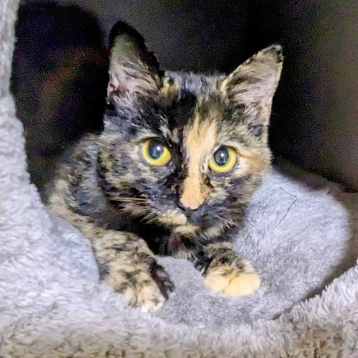 Dd72c92d 97cb 4781 91e3 49a5140e52b5 1761908823056