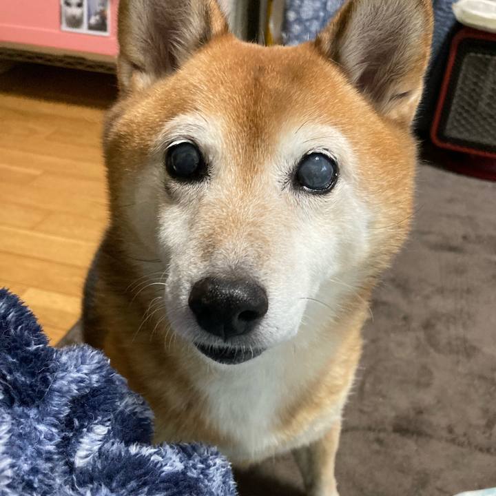 Dd72e07d d734 4450 a745 58c74d1e8cde 1698212697940