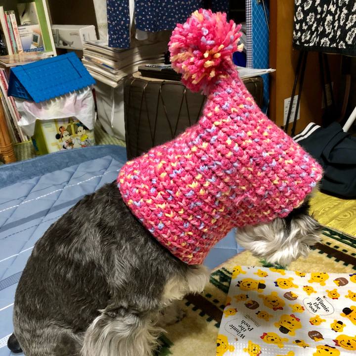 Dd72e396 9c71 40ac b905 06b8ea22551b 1671370269882