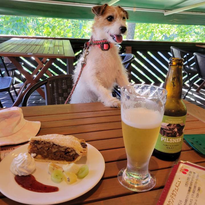 Dd72f75a aa0a 4518 b288 36042514809d 1691656518011