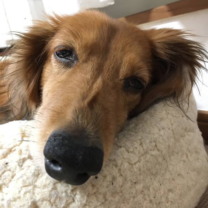 Dd7332e6 7abd 416f b91f 90819fb698e0 1571490437814