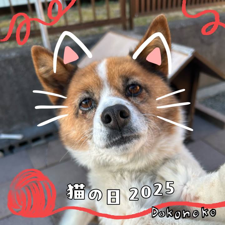 Dd735c29 5ea4 4656 b69e f845b9754f1b 1740167436431