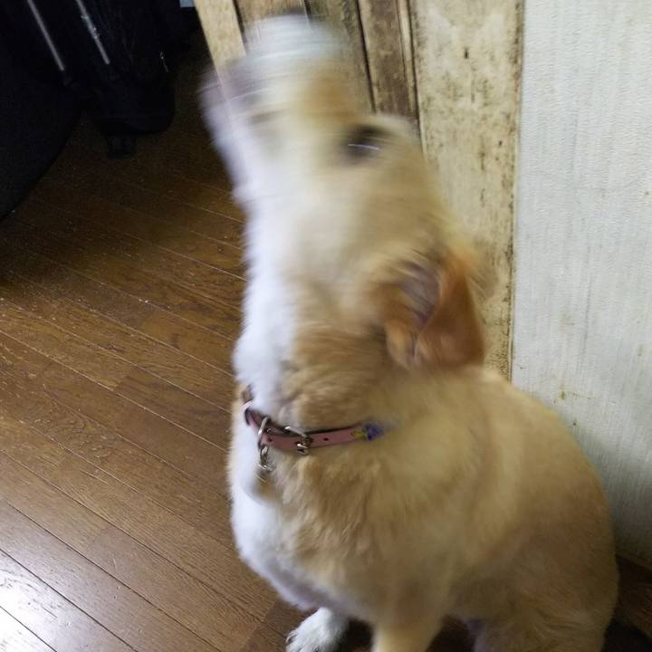 Dd735cc0 4558 4f0c 8893 89e1d1d52d9f 1528166672659