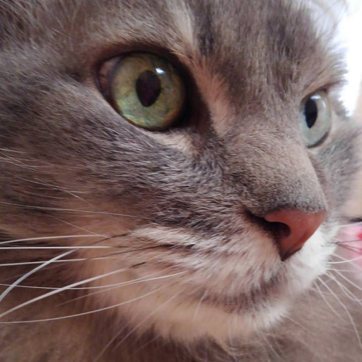 Dd73ac15 df69 4abb b9ed 0673e63cede7 1774663509288