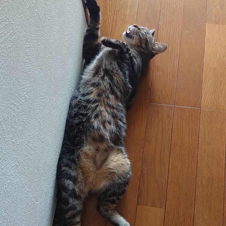 Dd7405e1 c592 404a 96ab ab5122fa4027 1692148624924