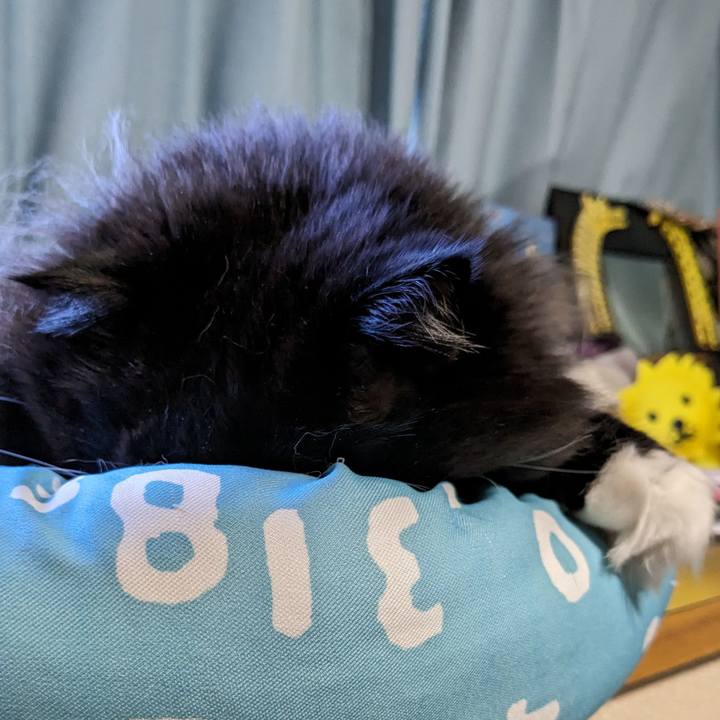 Dd74064d d610 480e b3c1 5be42ecdfa76 1704593497683