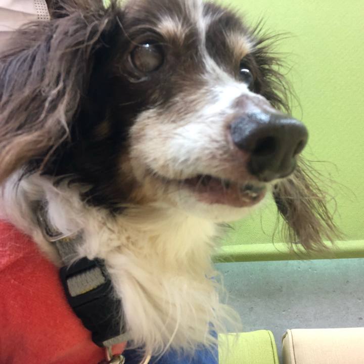 Dd741239 6fb6 4426 be57 aeb9994c3777 1625473530867