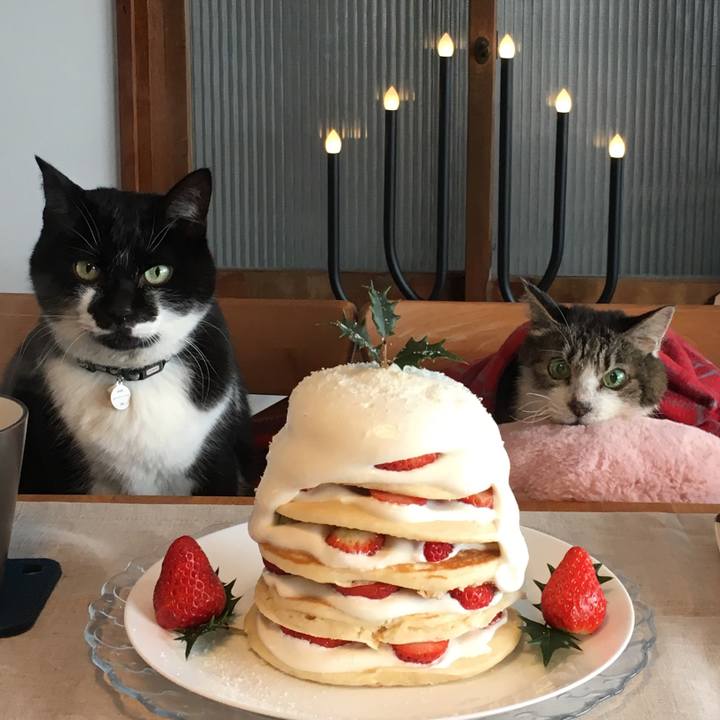 Dd7416f8 0fc9 4217 a620 1a180eb0b373 1514079381370