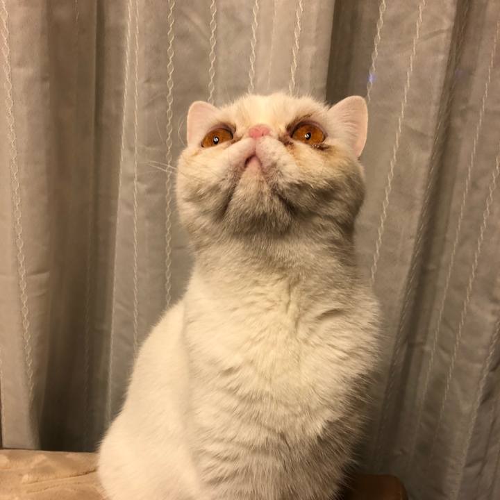 Dd744026 5b4b 4778 bdc5 f55a2c26f075 1638870244043