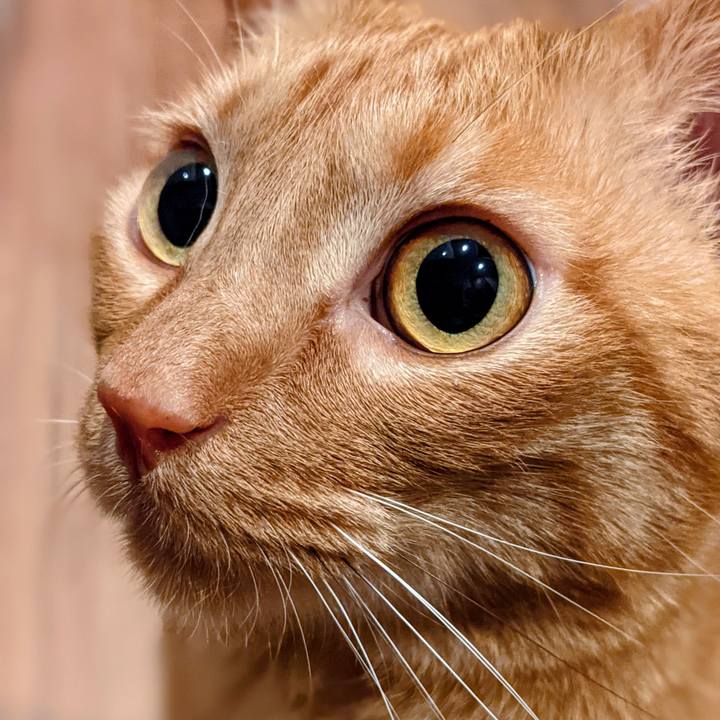 Dd744395 e2a0 487d b800 1dd675eab56e 1618660045138