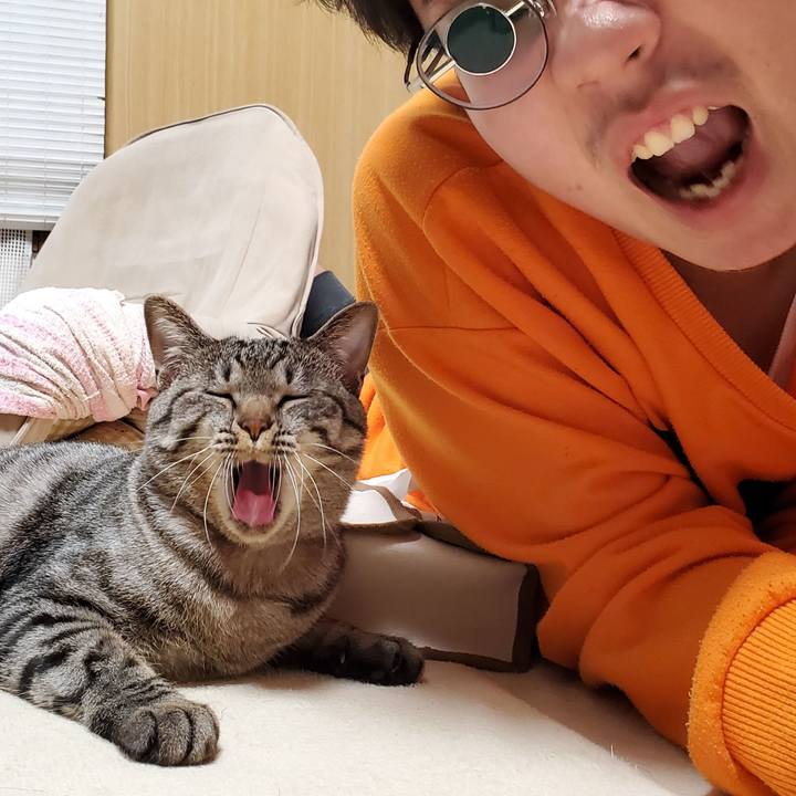 Dd744666 fc6c 4463 a466 de501621b64e 1701609214571