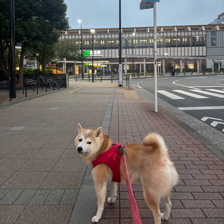 Dd746555 952c 434b 8feb 150a24779f74 1760586628123