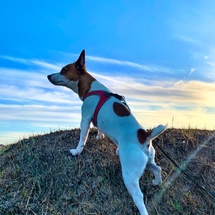 Dd749db6 88b4 4103 a198 c0268d402fb0 1552125032677