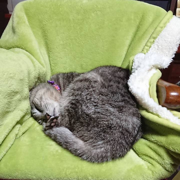 Dd74ab85 f624 4492 b016 a36f69e2c026 1588719936904