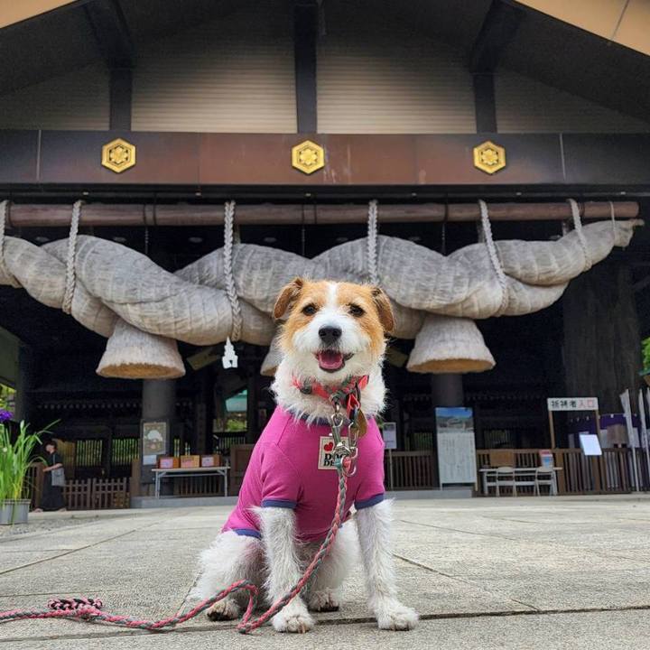 Dd754fbe 99d8 47b6 add2 358e264d72fc 1655533522291