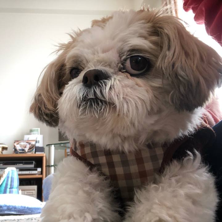 Dd755dca a209 4594 b44b 80707d71324d 1548020856662