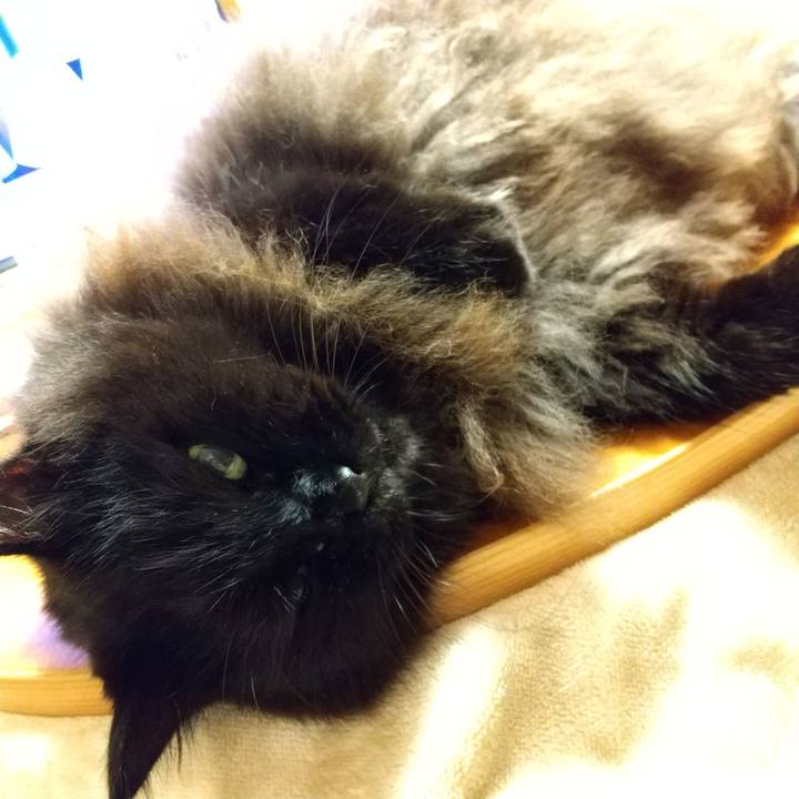 Dd75a0e9 5b50 4302 8c48 74b9ea15143f 1634557167621