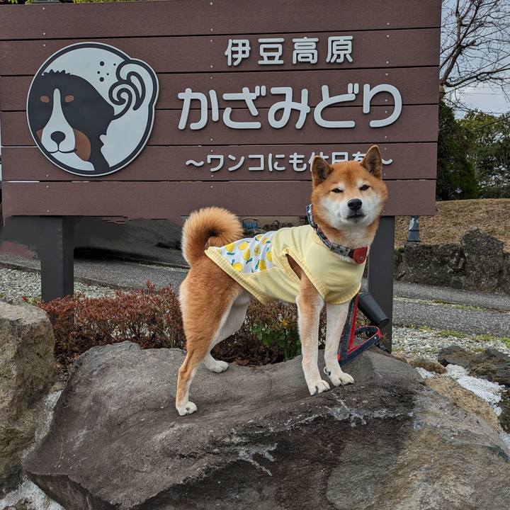 Dd75de43 60d3 4e85 aa91 6483609124a5 1710774452087