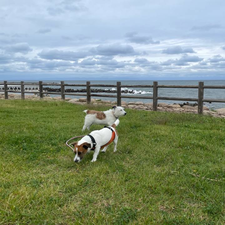 Dd75fcfd a466 4804 afc4 c9cabeecc550 1727908850721