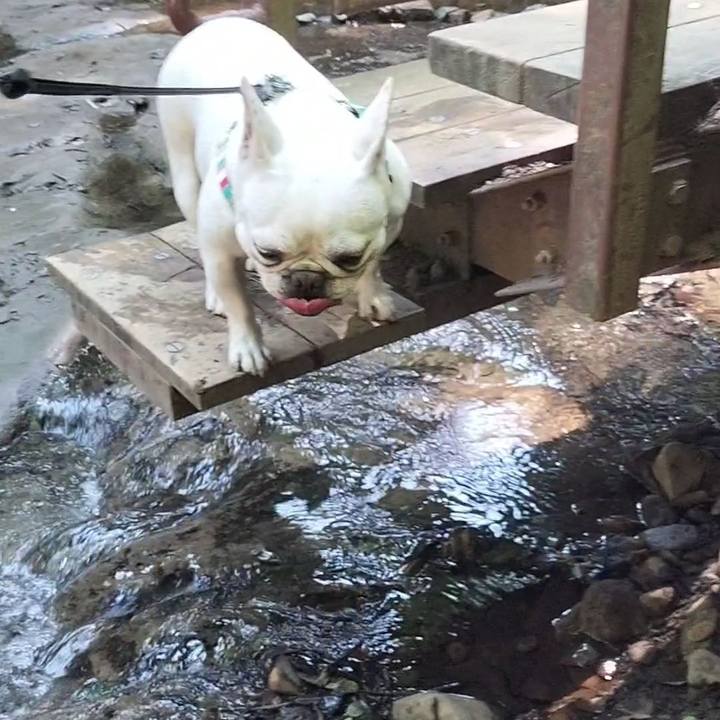 Dd7610cd 3bab 4f7f be06 aa9ee6c61b9d 1683170443401