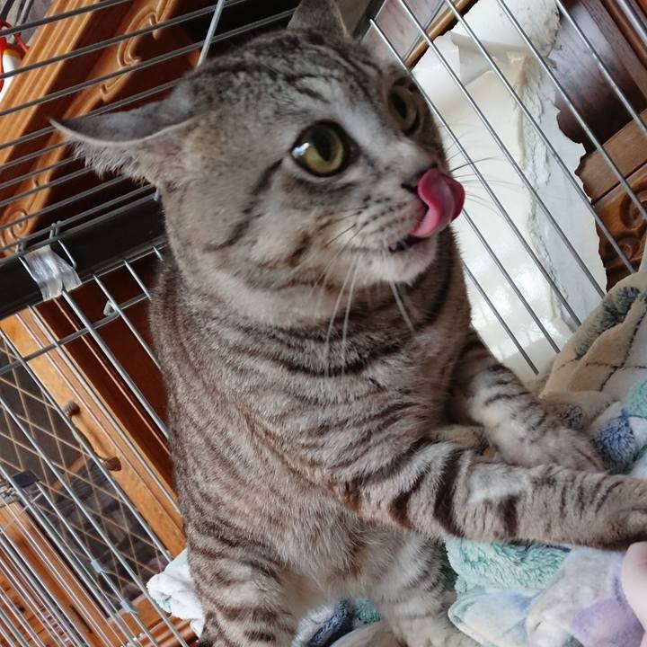 Dd7651d9 01d6 4968 b580 34118fe94611 1558565350482