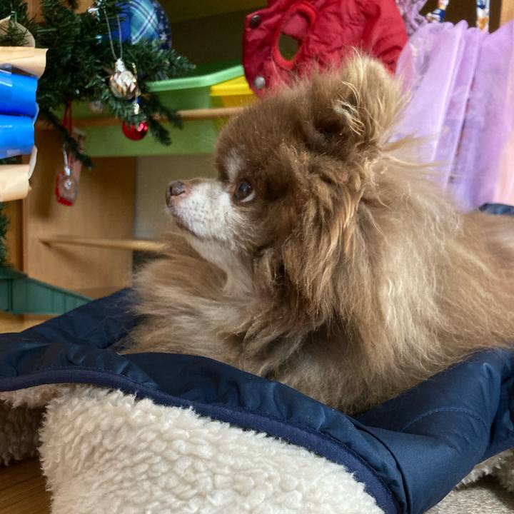 Dd7655e1 3852 4fd9 94d3 c6b776ec3b0a 1734653112869