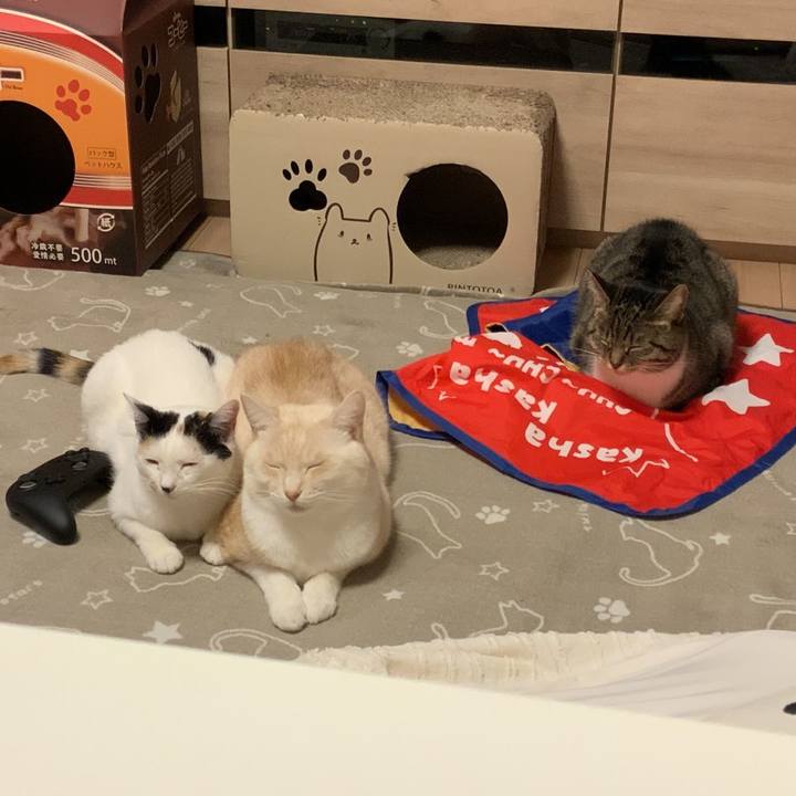 Dd765856 17f9 4ffe 8779 c6ae45d15e18 1768307517283