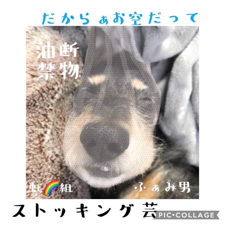 Dd76ef87 1080 416e 82f0 8dacd232da28 1568115279744