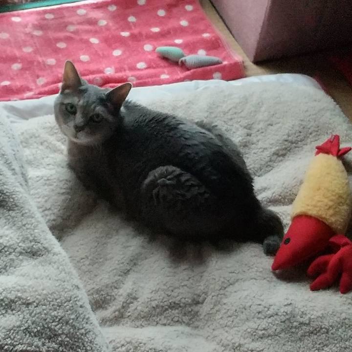 Dd772e43 eec5 450e ac76 95a11c00b70a 1681620834958