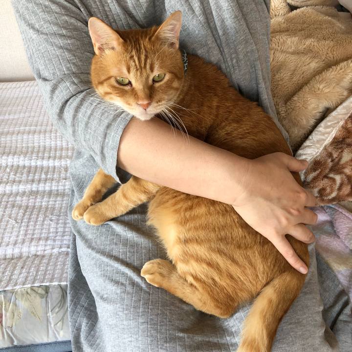 Dd774912 b9c1 4a6d 9876 99a5faa03828 1586048217070