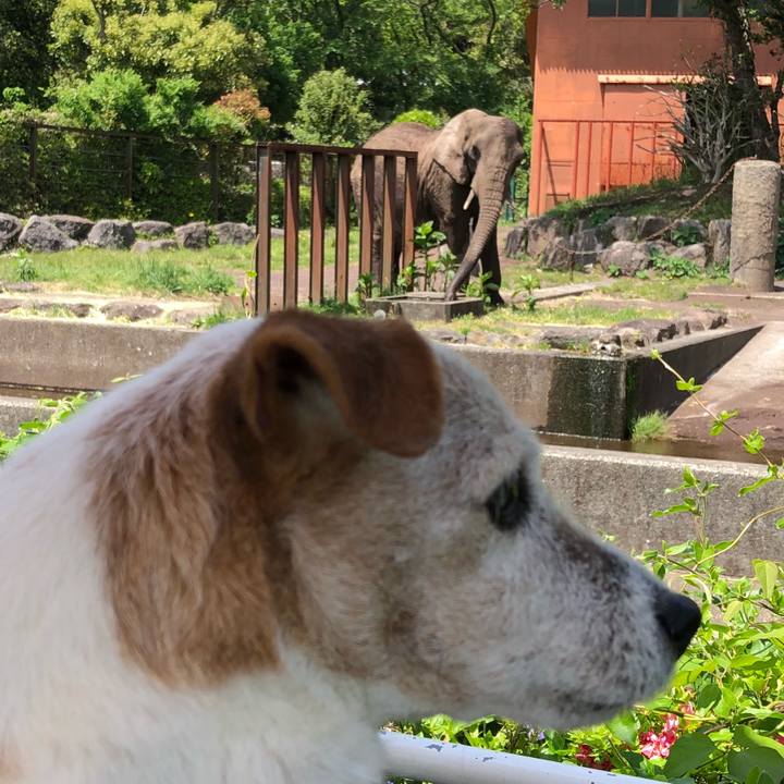 Dd77b09c f8a1 4d53 bfd3 1c6375a0bf8f 1525091742072