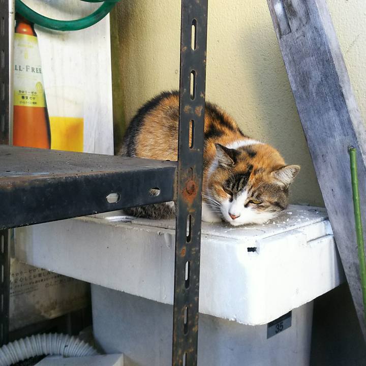 Dd77cccd ae9c 4b83 bde6 f67fc5417aae 1514808217788