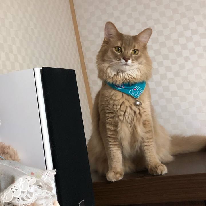 Dd781e09 b8f3 4c55 819b cb3259405d6f 1632610883678