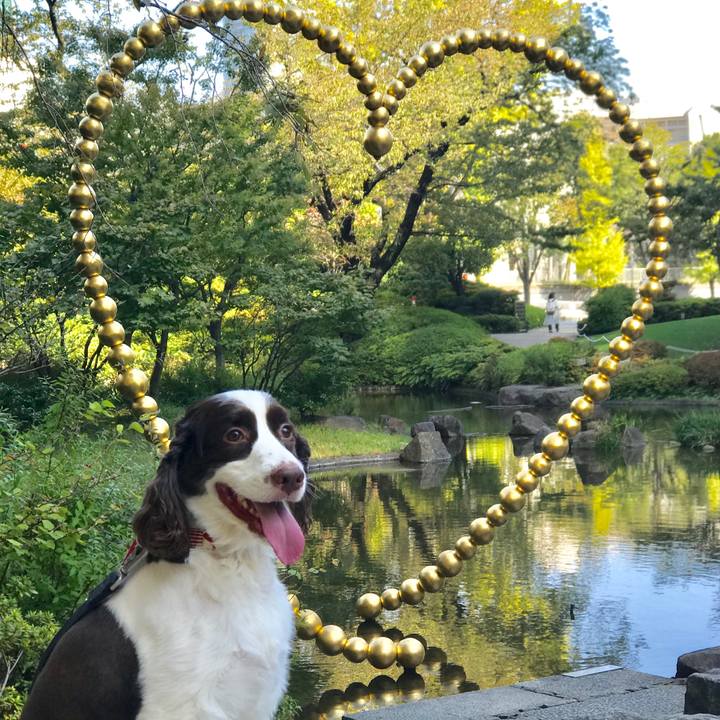 Dd7823a4 9e7a 4244 bf6f 7f03565bea42 1508996441950