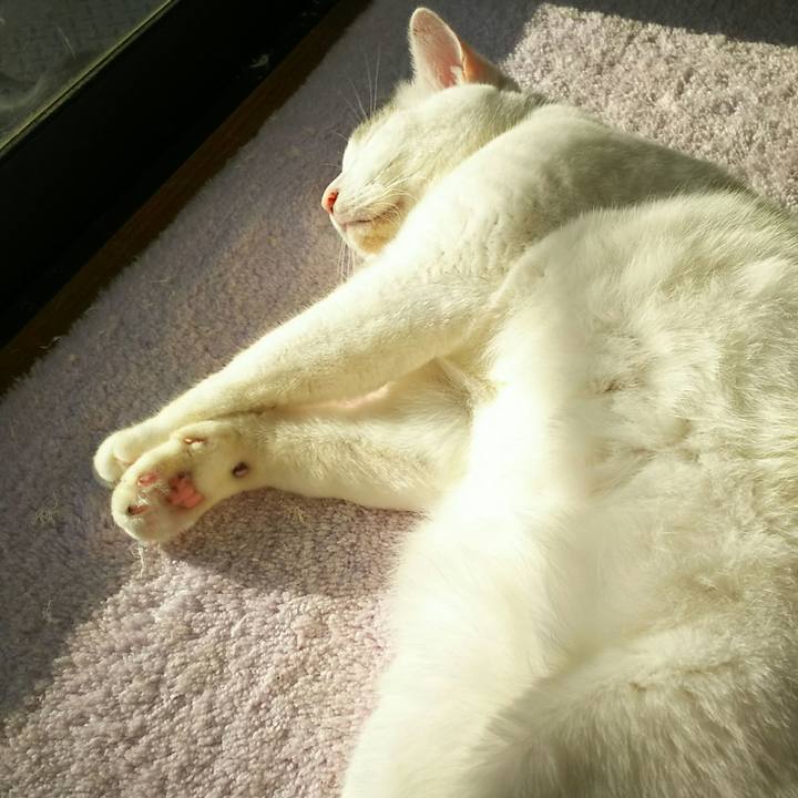 Dd7828e7 dab2 462f bbee 027baea1da31 1510061970042