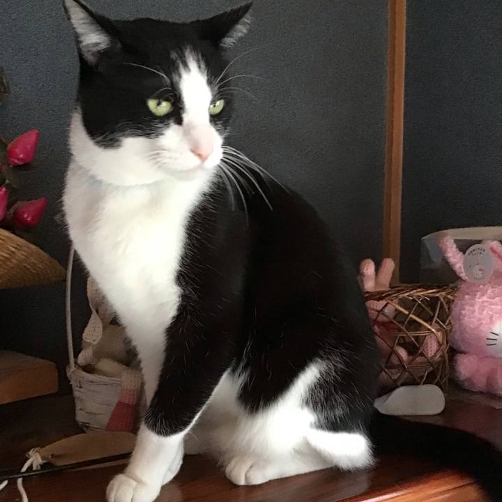 Dd784bd4 1f97 4999 8999 5c0d027bd0a4 1760503925228