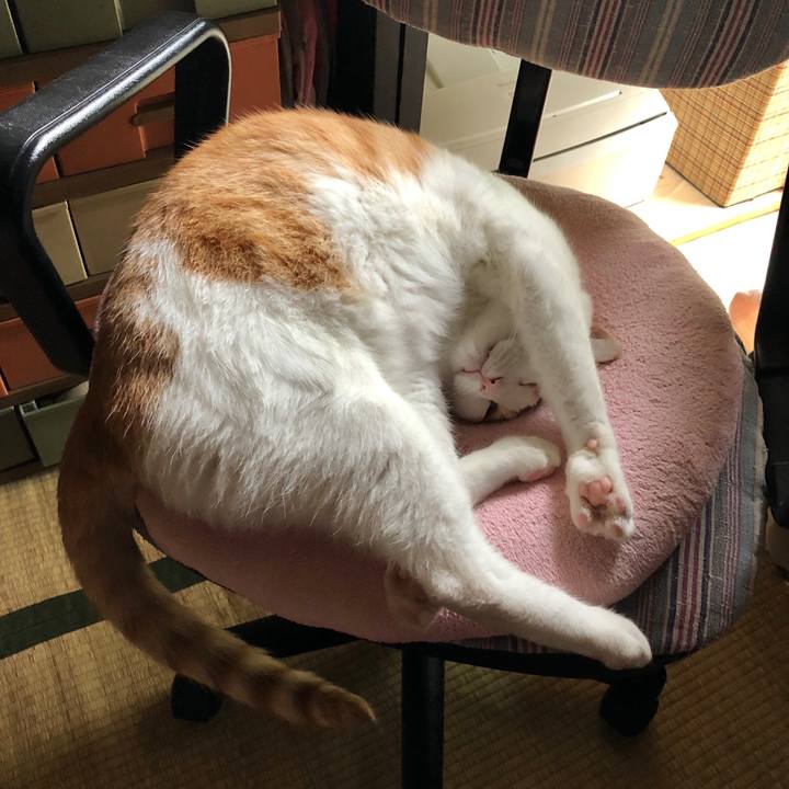 Dd785c36 ce6f 4f6b ada5 57b2759d075c 1563159422150