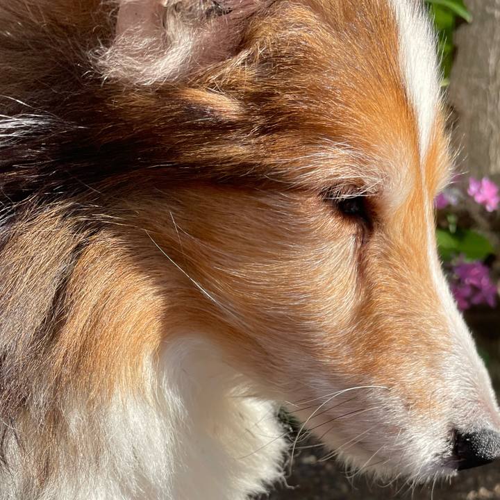 Dd788561 358e 4b18 8b6e 451bdb06b0f6 1658390512010