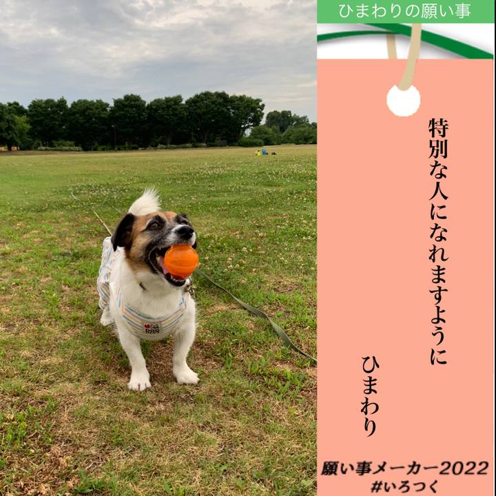 Dd78ba7b 4442 4e7c 9612 dc8e42c817f1 1657169430076