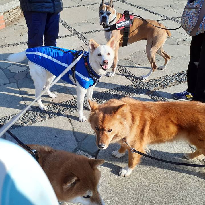 Dd78d55a 0253 4b60 bcda 4715ff2f83c9 1645921792651