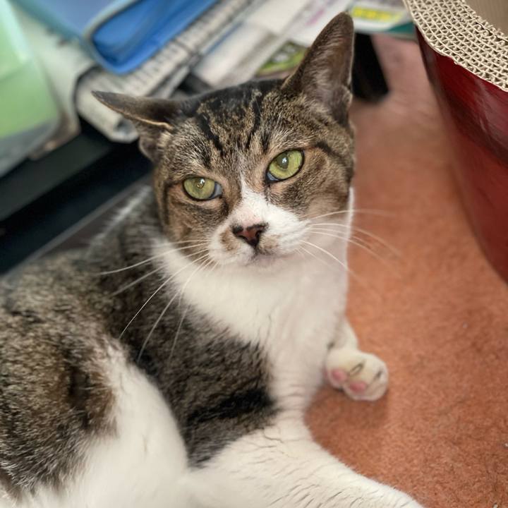 Dd790069 851c 4b5e 98cf ebb090cb3479 1651975900392