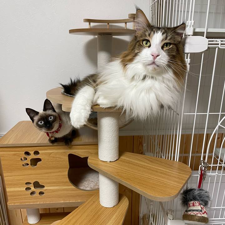 Dd7914b8 f387 432b 881e 0a48e1f0b100 1702840755528