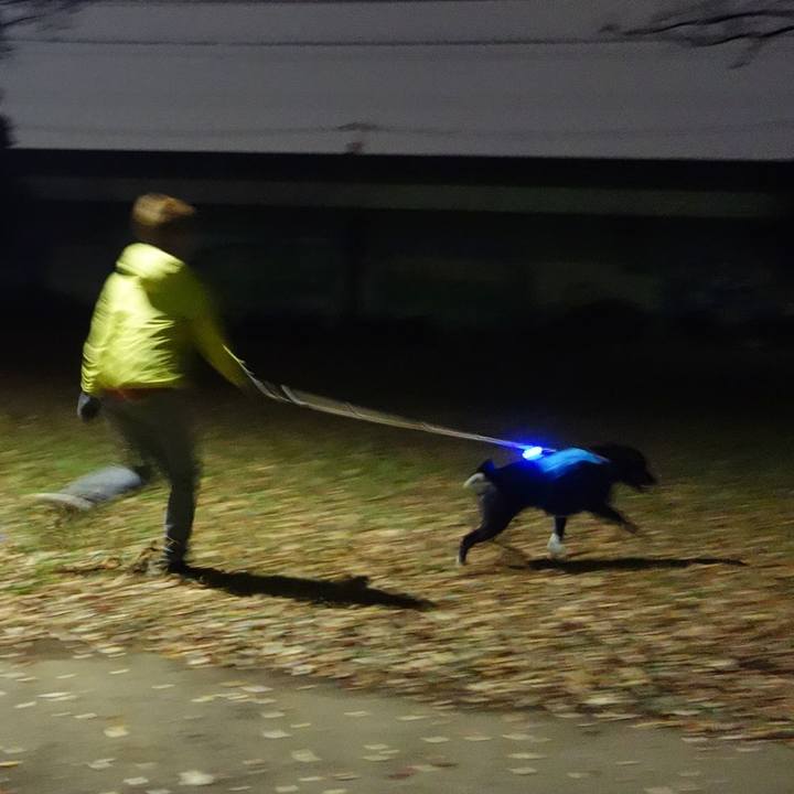 Dd795fbf f986 4125 b54d d0e99e080514 1668856696653